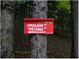 Lipa - Vivodnik